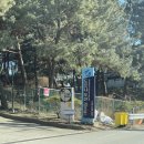 드르니 | 태안 숙소 추천｜가족들과 다녀온 드르니 오션 리조트 솔직 후기