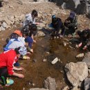 마지초등학교 이미지