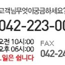 펫마트대전