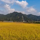 동진 발전소 이미지