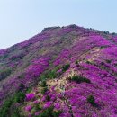 영취산국밥 - 여수시 상암동 | 영취산국밥