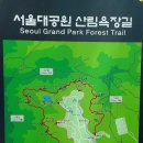 ■9월 [시산맥]등산 모임안내 및 참석자 확인-숲이 많은 서울대공원산림욕장 둘레길 이미지