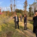 모아미래도 이미지