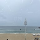 나무브레드&커피 이미지