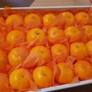 현이네농장 이미지