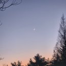 손톱,달 이미지