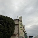 부림1교 옆 버스정류장 | 영월여행 웨이팅안하는 관광객되기 꿀팁
