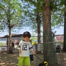 목원(농협경제지주(주)안성팜랜드) | 32개월 아기와 함께 다녀온 안성팜랜드 후기 동물체험 천국