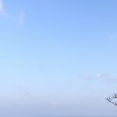 보경할인마트 이미지