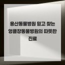 엉클장동물병원 이미지