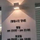 윙밸스킨