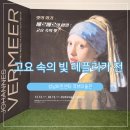 비밀 | 빛의화가, 베르메르의 비밀 관람후기