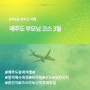 표선면사무소 | 제주도 부모님 코스 3월 유채꽃 여행 (제주도 동쪽 2박3일)