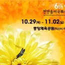 익산 천만송이 국화축제 이미지