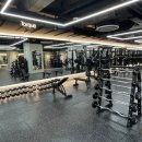 마블휘트니스 이미지