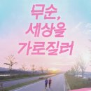 청춘 P.T 이미지
