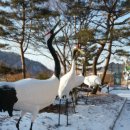 통일이음길 이미지