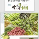 박씨야채