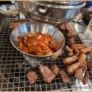 야외돼지