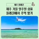 올레PC | 제주 가을 올레 일주일 살기 체험/신청부터 올레스테이 이용까지