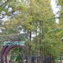 인천대공원(거수골) 이미지