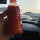 (주)나인관광투어 이미지