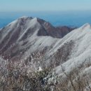 제296차 민주지산 눈 산행(전체공개) 이미지