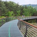 설악스카이 이미지