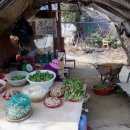 장수천공원 이미지