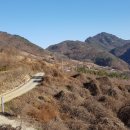 중고개길 이미지