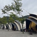 숲속에 머물다 이미지