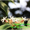 외연도둘레길 이미지