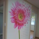 동화펜션 이미지