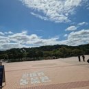 빈이커피서가커피 | 울산대공원 북카페 🌿 지관서가 울산대공원점 아포카토 후기