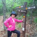 공지산 둘레길 이미지