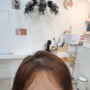 선데이애드
