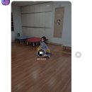 보스베이비베이커 이미지