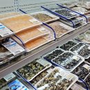 트레이더스홀세일클럽월계점 이미지