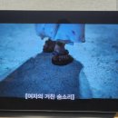 명자네 생물 이미지