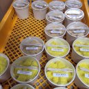 성거농협클린주유소 이미지