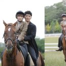 지성목장 이미지