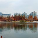 일산호수공원 이미지