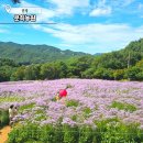 문경농원