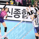 흥국생명 이미지