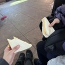 (주)설 렌터카 | 설산 제주 한라산 | 겨울 산행의 현실 후기와 알면 좋은 모든 것