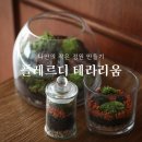 우리 집 작은 정원(홈 가드닝)만들기 | 나만의 작은 정원 만들기! 플레르디 테라리움 만들기 후기