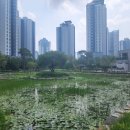 트리풀행복공인중개사사무소 이미지