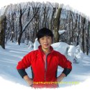 삼화여행사