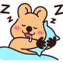 스테이안김
