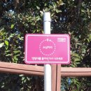 소남머리 이미지